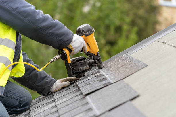 Best Roof Moss and Algae Removal  in Sandoval, IL