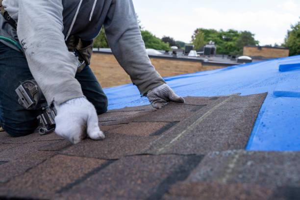 Best Roof Leak Repair  in Sandoval, IL