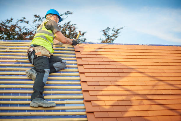 Best Sheet Metal Roofing  in Sandoval, IL